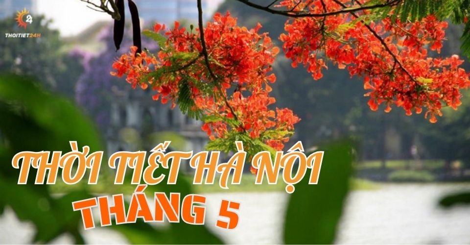 Thời tiết Hà Nội tháng 5 thế nào? Chơi gì ở Hà Nội 